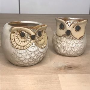 Ceramic Owl Succulent Pots (Cream)